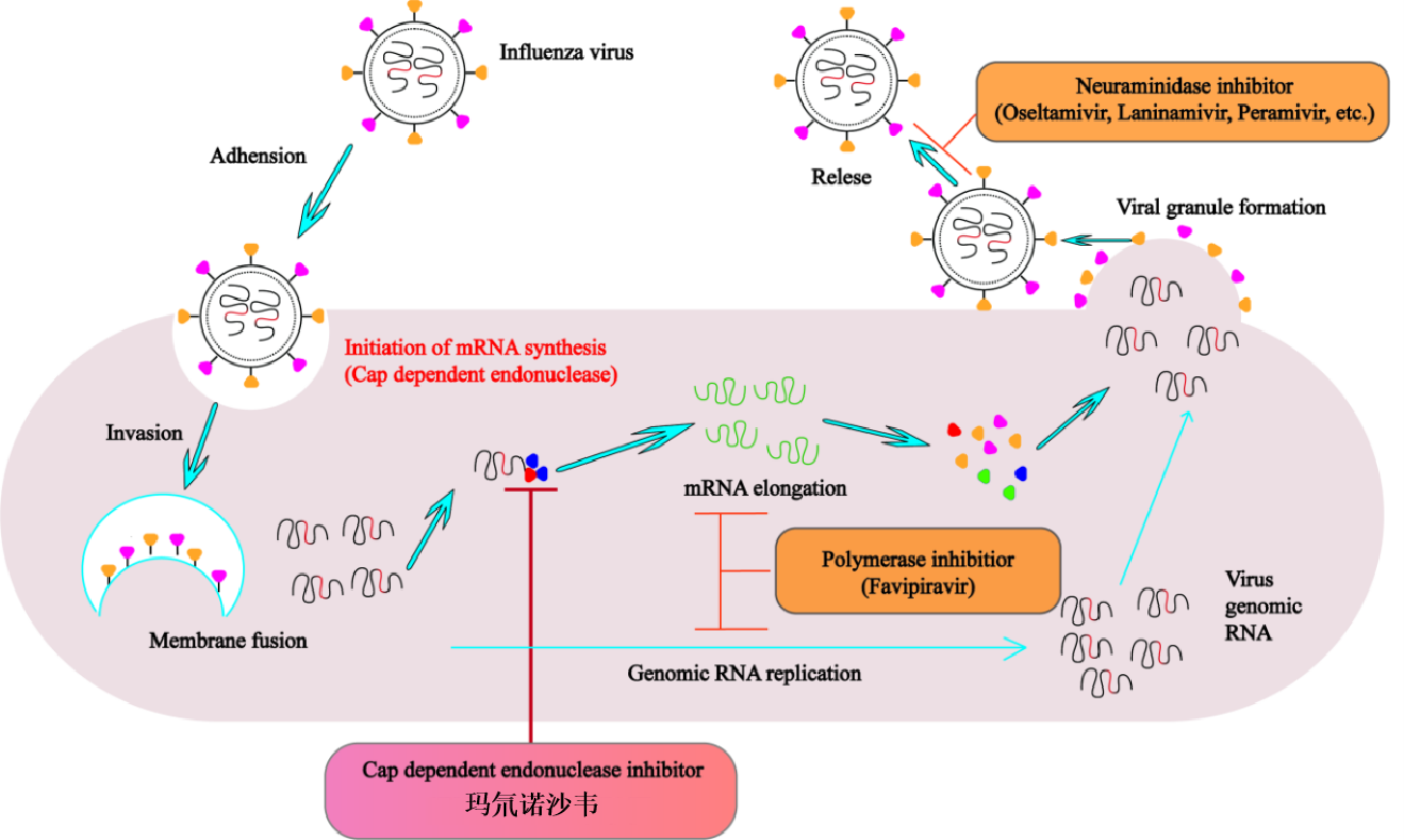 微信圖片_20250318093819.png 微信圖片_20250318093819.png